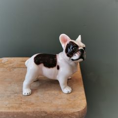 Ceramiche il Gattopardo - Stående Fransk bulldogg mini